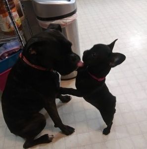 Meet your Posher, Kendra